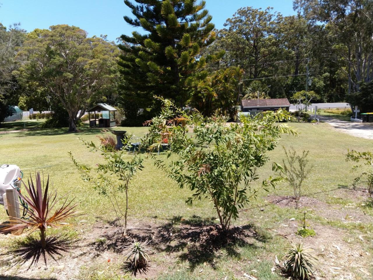 Jabiru Motel Nambucca Heads Exterior photo
